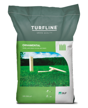 Vejos sėklų mišinys Ornamental